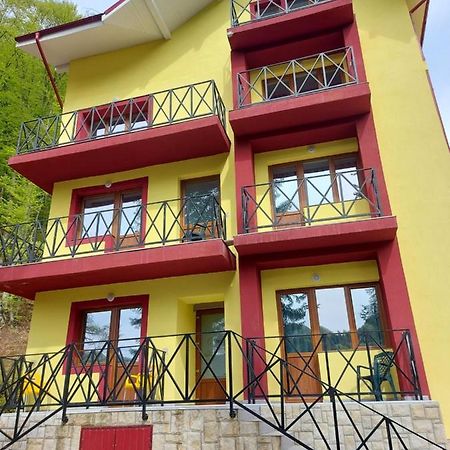 Vila Ioana Hotel Szlanikfürdő Kültér fotó