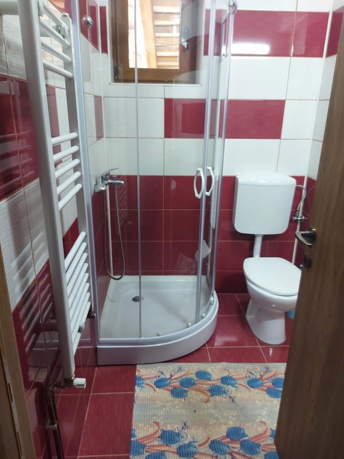 Vila Ioana Hotel Szlanikfürdő Kültér fotó
