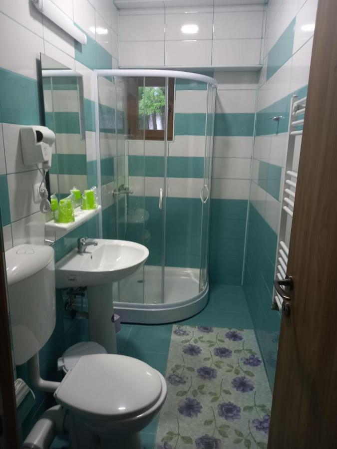 Vila Ioana Hotel Szlanikfürdő Kültér fotó