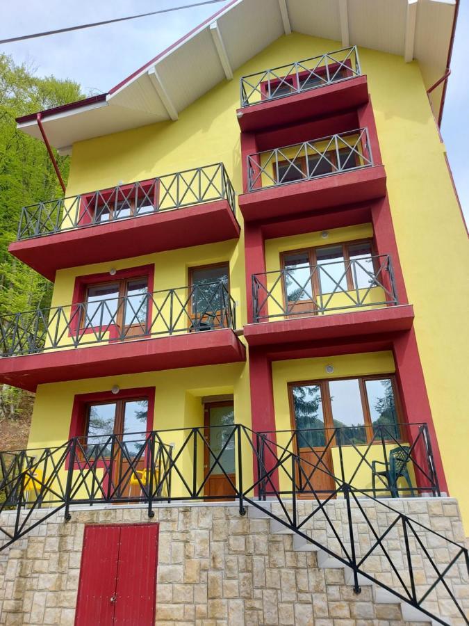 Vila Ioana Hotel Szlanikfürdő Kültér fotó